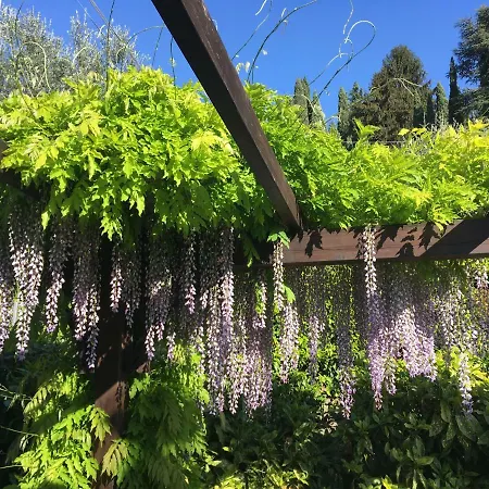A Casa Di Emy, Di Garda 아파트 토리델베나코